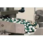 Why does gelatin have a special position in the pharmaceutical industry?